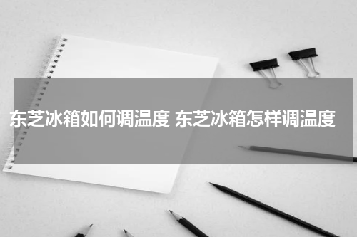 东芝冰箱如何调温度 东芝冰箱怎样调温度