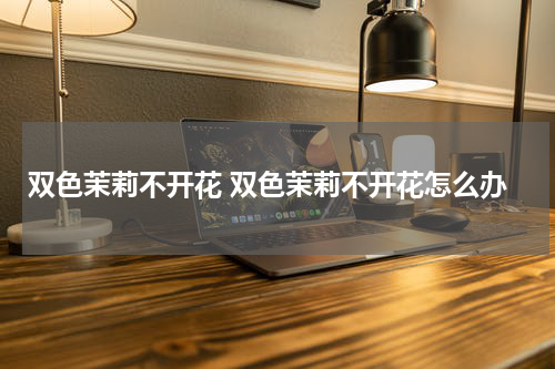 双色茉莉不开花 双色茉莉不开花怎么办