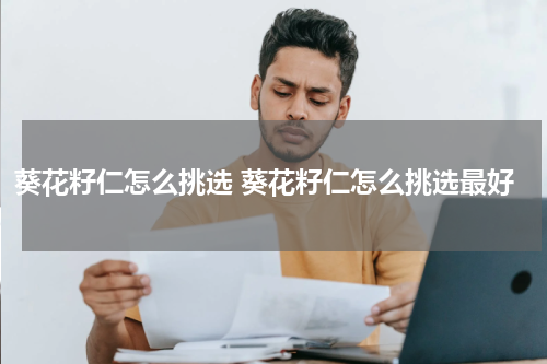 葵花籽仁怎么挑选 葵花籽仁怎么挑选最好