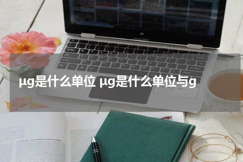 μg是什么单位 μg是什么单位与g
