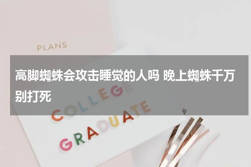 高脚蜘蛛会攻击睡觉的人吗 晚上蜘蛛千万别打死