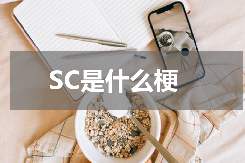 SC是什么梗