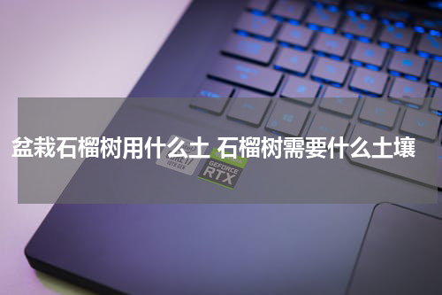盆栽石榴树用什么土 石榴树需要什么土壤