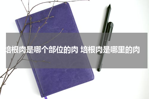培根肉是哪个部位的肉 培根肉是哪里的肉