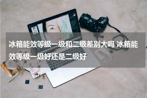 冰箱能效等级一级和二级差别大吗 冰箱能效等级一级好还是二级好
