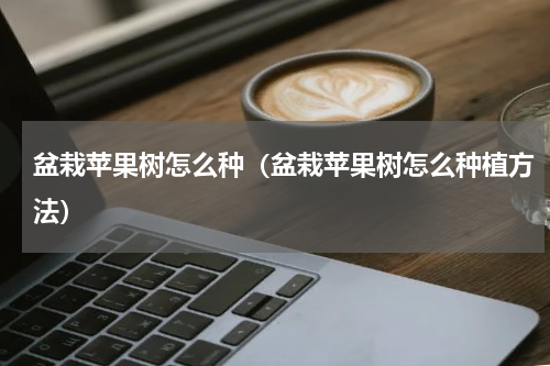 盆栽苹果树怎么种（盆栽苹果树怎么种植方法）