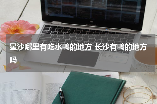 星沙哪里有吃水鸭的地方 长沙有鸭的地方吗