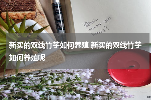 新买的双线竹芋如何养殖 新买的双线竹芋如何养殖呢