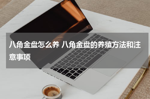 八角金盘怎么养 八角金盘的养殖方法和注意事项