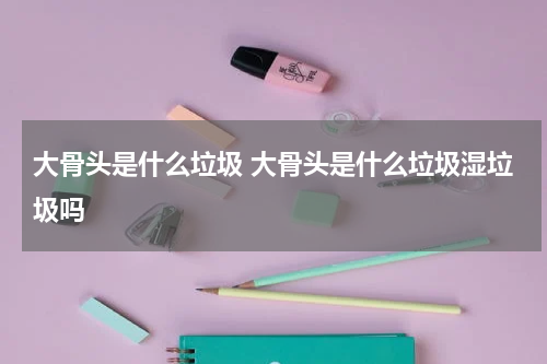 大骨头是什么垃圾 大骨头是什么垃圾湿垃圾吗