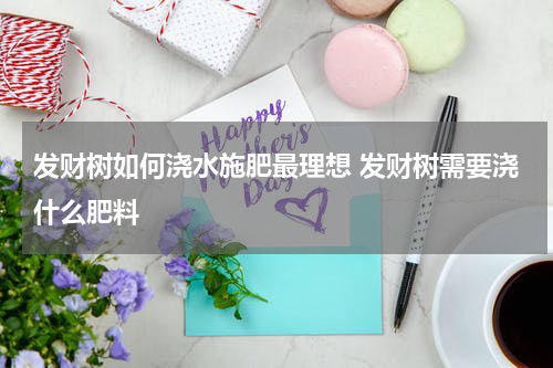 发财树如何浇水施肥最理想 发财树需要浇什么肥料