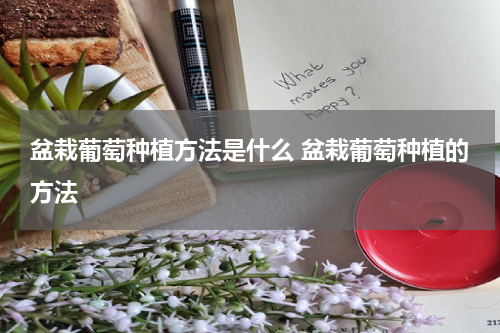 盆栽葡萄种植方法是什么 盆栽葡萄种植的方法