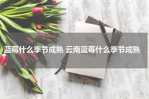 蓝莓什么季节成熟 云南蓝莓什么季节成熟