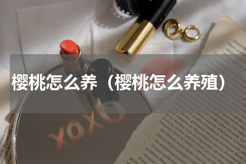 樱桃怎么养（樱桃怎么养殖）