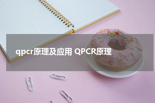qpcr原理及应用 QPCR原理