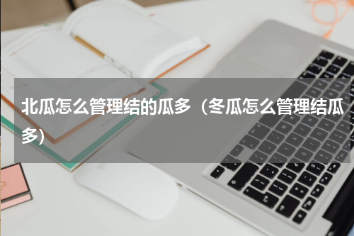 北瓜怎么管理结的瓜多（冬瓜怎么管理结瓜多）