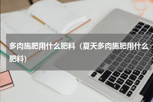 多肉施肥用什么肥料（夏天多肉施肥用什么肥料）