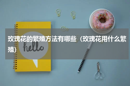 玫瑰花的繁殖方法有哪些（玫瑰花用什么繁殖）