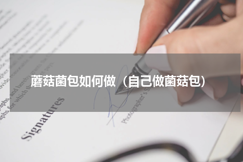 蘑菇菌包如何做（自己做菌菇包）