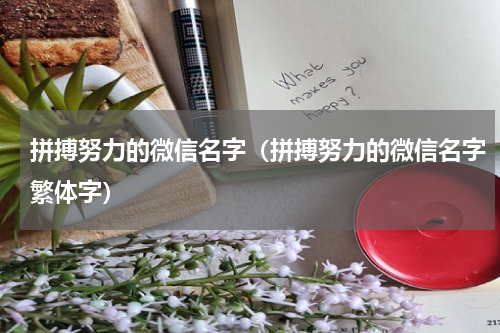 拼搏努力的微信名字（拼搏努力的微信名字繁体字）