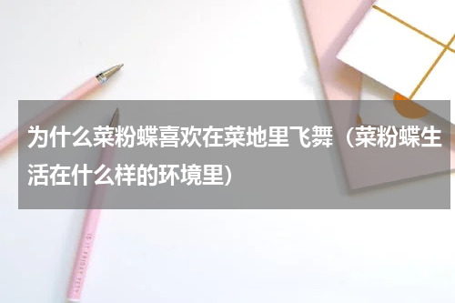 为什么菜粉蝶喜欢在菜地里飞舞（菜粉蝶生活在什么样的环境里）