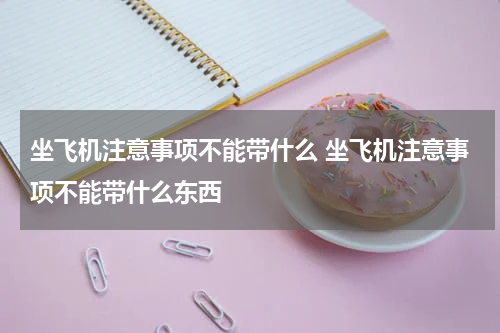 坐飞机注意事项不能带什么 坐飞机注意事项不能带什么东西