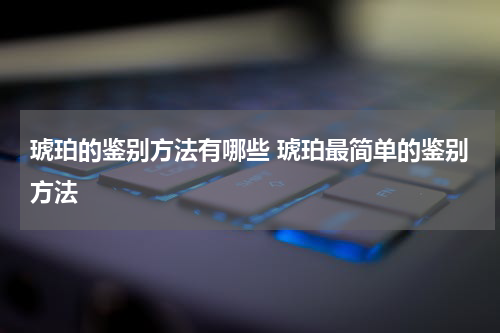 琥珀的鉴别方法有哪些 琥珀最简单的鉴别方法