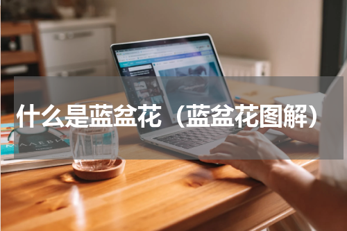 什么是蓝盆花（蓝盆花图解）