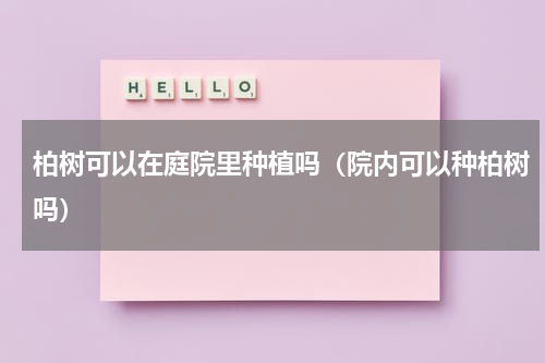 柏树可以在庭院里种植吗（院内可以种柏树吗）