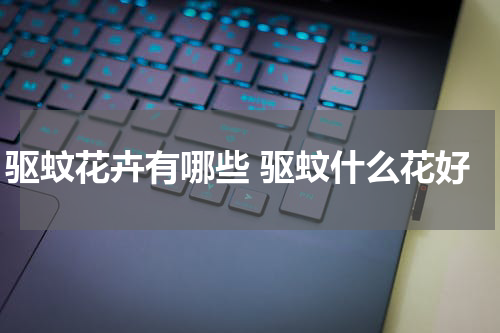 驱蚊花卉有哪些 驱蚊什么花好