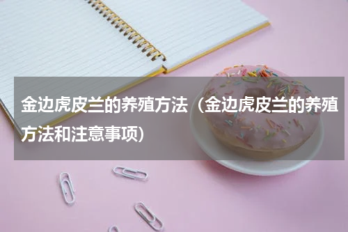 金边虎皮兰的养殖方法（金边虎皮兰的养殖方法和注意事项）