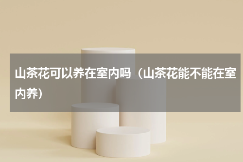 山茶花可以养在室内吗（山茶花能不能在室内养）