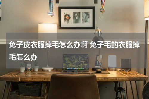 兔子皮衣服掉毛怎么办啊 兔子毛的衣服掉毛怎么办