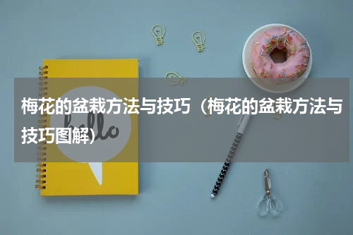 梅花的盆栽方法与技巧（梅花的盆栽方法与技巧图解）