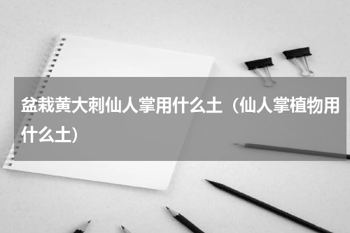 盆栽黄大刺仙人掌用什么土（仙人掌植物用什么土）