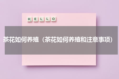 茶花如何养殖（茶花如何养殖和注意事项）