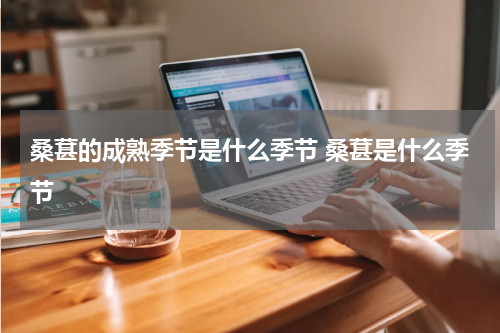 桑葚的成熟季节是什么季节 桑葚是什么季节