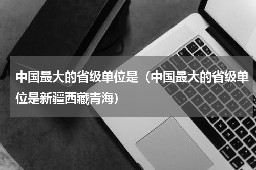 中国最大的省级单位是（中国最大的省级单位是新疆西藏青海）