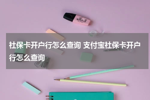 社保卡开户行怎么查询 支付宝社保卡开户行怎么查询