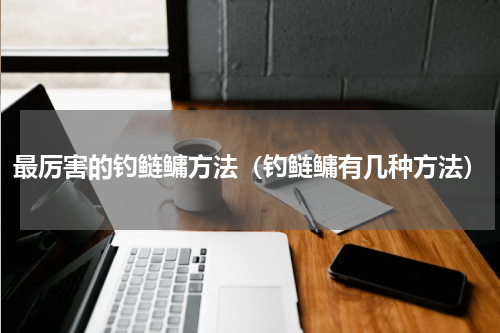 最厉害的钓鲢鳙方法（钓鲢鳙有几种方法）