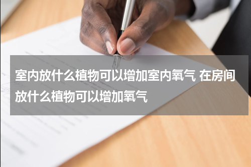 室内放什么植物可以增加室内氧气 在房间放什么植物可以增加氧气