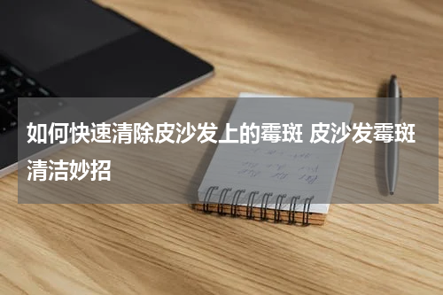 如何快速清除皮沙发上的霉斑 皮沙发霉斑清洁妙招