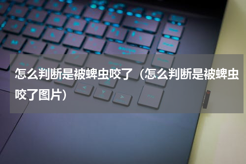 怎么判断是被蜱虫咬了（怎么判断是被蜱虫咬了图片）