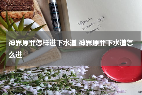 神界原罪怎样进下水道 神界原罪下水道怎么进