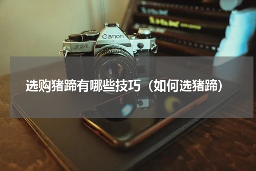 选购猪蹄有哪些技巧（如何选猪蹄）