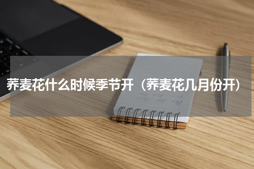 荞麦花什么时候季节开（荞麦花几月份开）