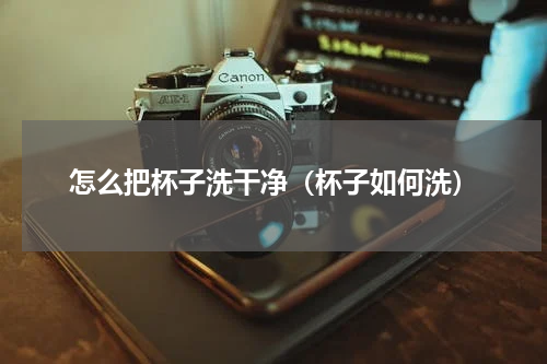 怎么把杯子洗干净（杯子如何洗）