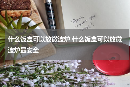 什么饭盒可以放微波炉 什么饭盒可以放微波炉最安全