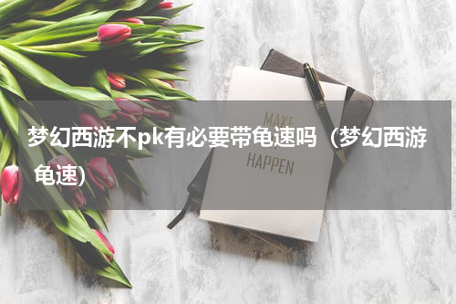 梦幻西游不pk有必要带龟速吗（梦幻西游 龟速）