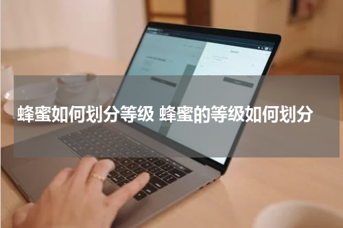 蜂蜜如何划分等级 蜂蜜的等级如何划分